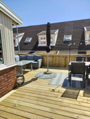 The terraced house